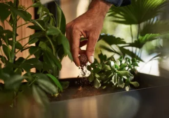 De cupjes van CoffeeB zijn bio-based en volledig composteerbaar.