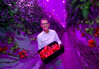 PlantLab-oprichter John van Gemert met een oogst van LED-gekweekte tomaten.